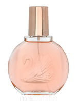 Gloria Vanderbilt Miss Vanderbilt Edt Spray 100 ml