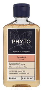 Phyto Anti-Fade Shampoo